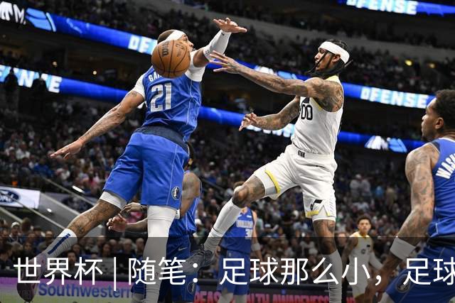 世界杯 | 随笔：足球那么小，足球这么大