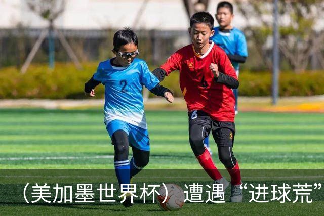 （美加墨世界杯）遭遇“进球荒”，“亚洲一哥”孙兴慜“廉颇老矣”？